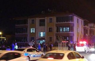 Bahçe duvarını aşıp binaya çarptı