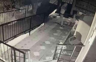 Bahçedeki yavru köpeği kucaklayarak çaldı