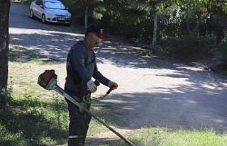 Bahçeşehir’de sonbahar temizliği