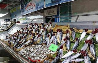 Balık bollaşınca fiyatlar 50 TL’ye geriledi