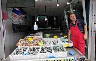 Balıkçı tezgahları şenlendi