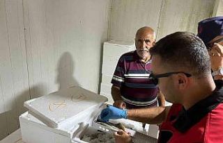 Balıkçılar denetlendi