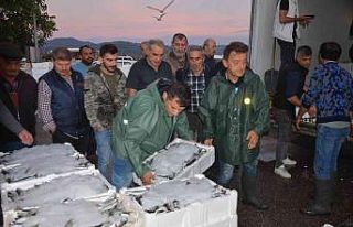 Balıkçıların gün doğmadan başlayan ’hal’...
