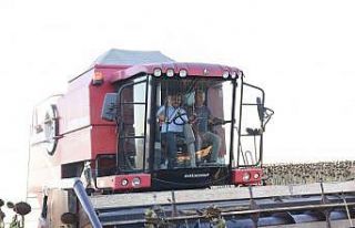 Balıkesir’de Ayçiçek hasadına başlandı