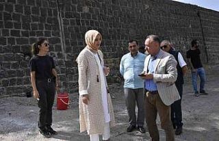 Başkan Çakmak Siverek Kalesinde incelemelerde bulundu