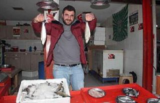 Batı Karadeniz’de palamut bolluğu yaşanırken,...