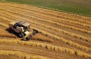 Bayburt’ta TMO’nun buğday ve arpa alım primi...