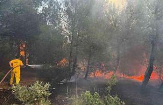 Bergama’daki orman yangını kontrol altında