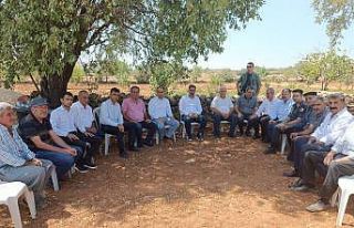 Besni’de fıstık hasadı başladı