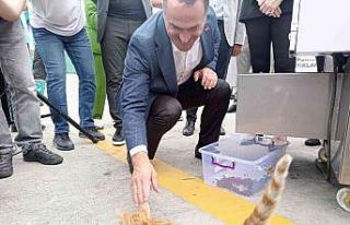 Beyoğlu’nda bir ilk: Gıda ve yemek artıkları...