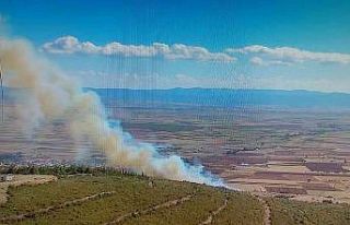 Biga’da orman yangını