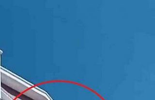 Binanın 7. katında mahsur kalan kedi için seferber...