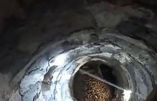 Bingöl’de arılar, cami minaresine yuva yaptı