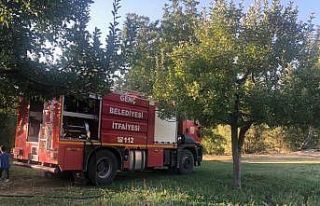 Bingöl’de bahçe yangını söndürüldü
