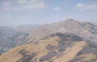 Bingöl’de otluk alanda yangın