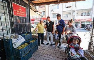 Buca’da bağ bozumu bereketi