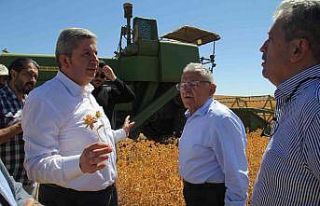 Bünyan’da aspir hasadını başkanlar yaptı