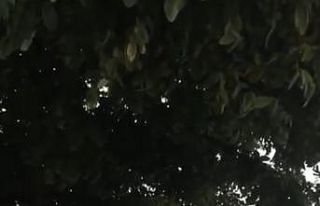 Bursa’da drift atan şehir magandalarının o anları...
