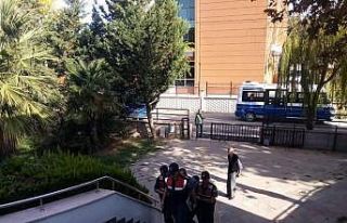 Bursa’da kenevir tarlasına baskın