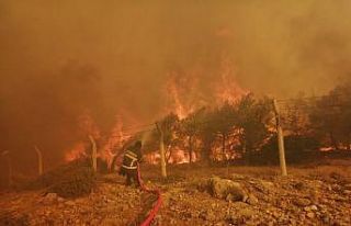 Büyükşehir İtfaiyesi, Mersin’deki orman yangınlarını...