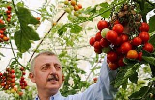 Büyükşehirden çiftçiye 86 milyonluk mazot ve...