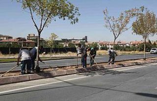 Büyükşehirden çim alan ve sulama sistemi çalışmaları