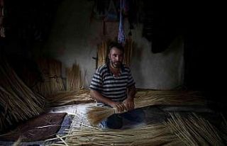 Çalı süpürgesi akıllı robotlara karşı