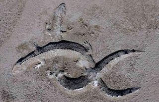 Çanakkale sahillerinde kumdan ejderha