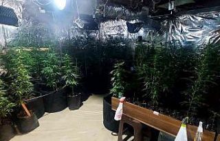 Çanakkale’de uyuşturucu operasyonu