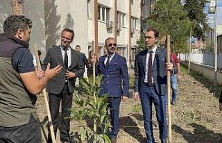 Çaycuma Adliyesi’nde fidan dikimi yapıldı
