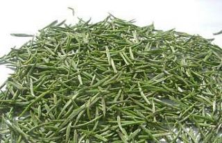 ÇAYKUR İmparatorların çayından 230 kilogram aldı