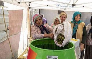 Ceviz soyma makinesi üreticinin yüzünü güldürüyor