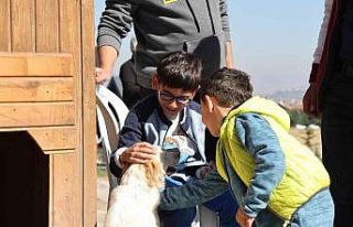 Çiftlik minik, sevgi büyük