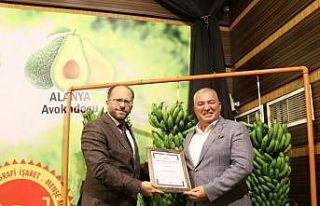Coğrafi işaretli muzun logosunu Alanya halkı seçecek