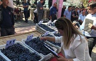 Coğrafi işaretli ürünler yoğun ilgi gördü