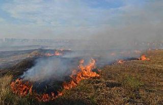 Çorlu’da 50 dönüm anız alev alev yandı