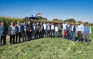 Dağıtılan tohumlarda hasat zamanı