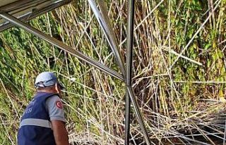 Dalyan Kanalı artık daha temiz