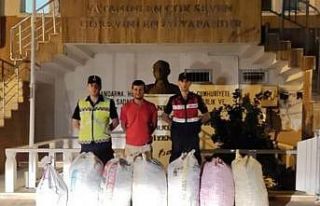 Demre’de 7 çuval keçiboynuzu çalan şüpheliler...