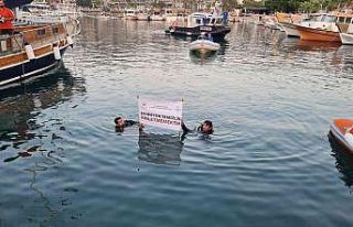 Denize 25 bin çipura bırakıldı