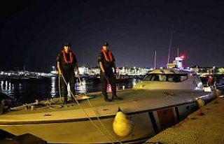 Denizlerde palamut bolluğu yaşanıyor