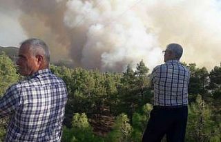 Denizli sınırlarında ilerleyen yangın kısmen...