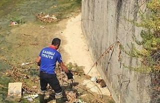 Derede mahsur kalan yavru köpeği itfaiye kurtardı