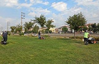 Derince’nin yeşil alanları temizleniyor