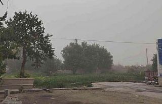 Develi’de toz bulutu hayatı olumsuz etkiledi