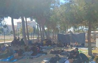 Didim’de 92 düzensiz göçmen yakalandı