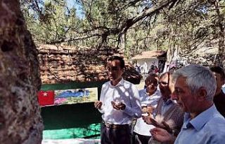 Domaniç Ebe Ana Sultan Türbesinde anma töreni