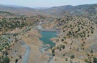 DSİ’den Siirt hayvancılığına katkı