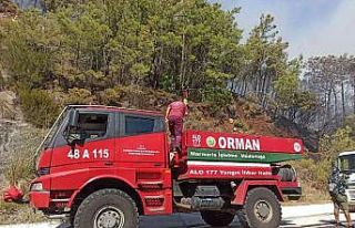 Dumandan etkilenen orman işçisi hastaneye kaldırıldı