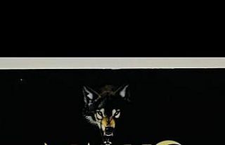 Ectasy hap ile yakalanan 1 kişi tutuklandı